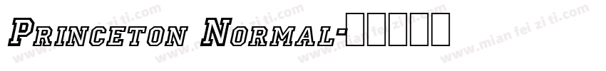 Princeton Normal字体转换